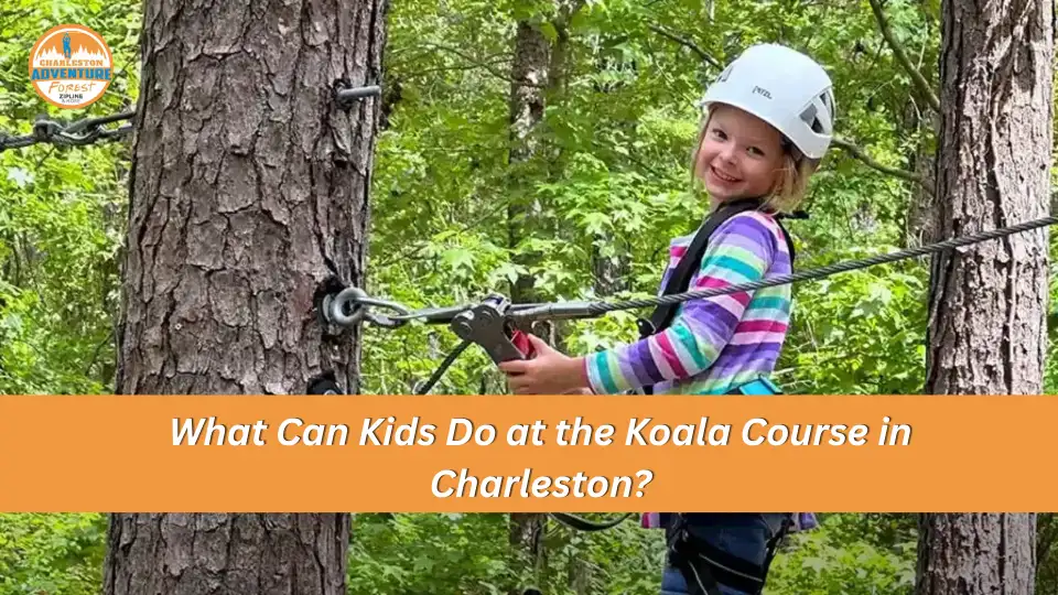 Koala Course at Charleston