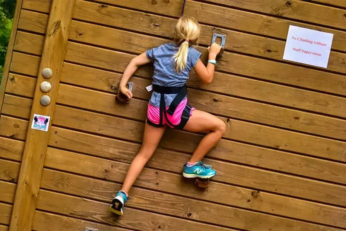 65-foot climbing wall at Charleston Adventure Forest