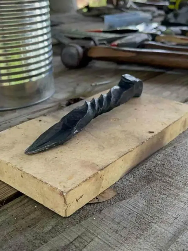 Charleston Adventure Forest