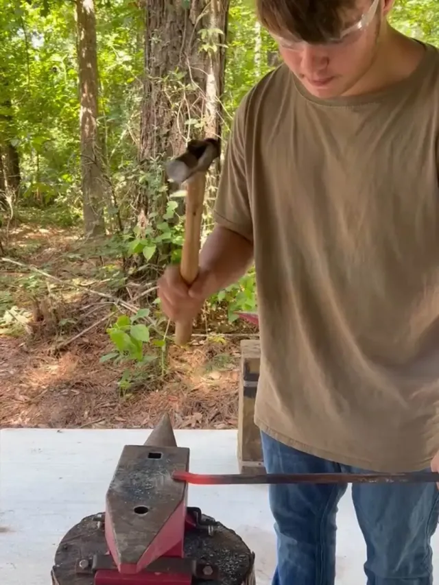 Charleston Adventure Forest