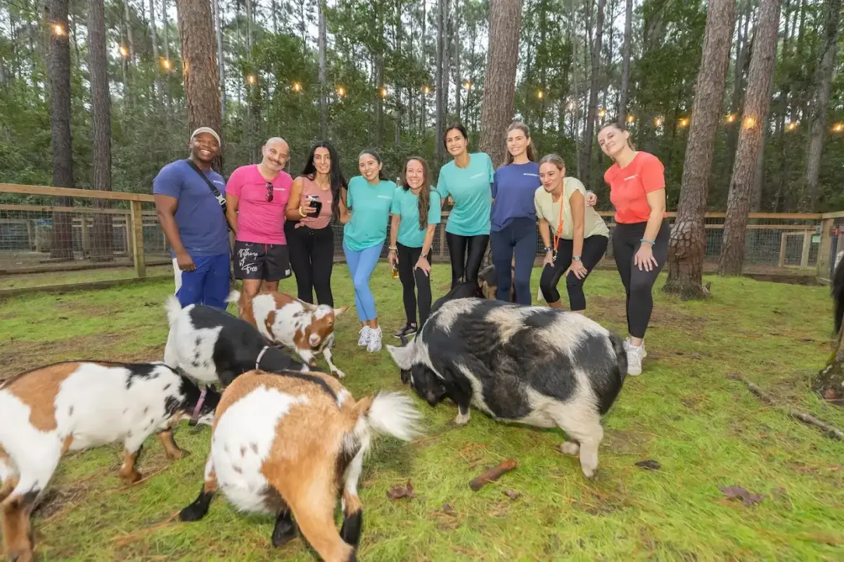 Animal encounters at Charleston Adventure Forest