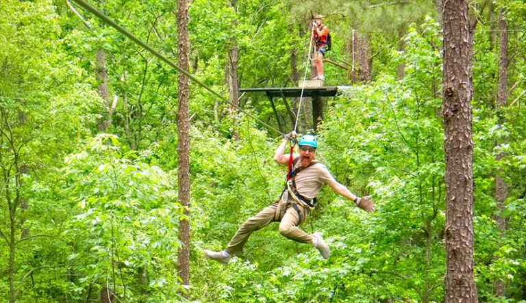 Zipline Canopy Tour | Charleston Adventure Forest