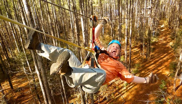 Zipline Canopy Tour | Charleston Adventure Forest
